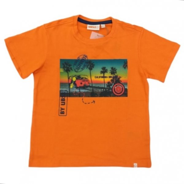 Camiseta niño manga corta naranja UBS2